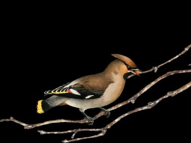 Ugostiteljski objekat